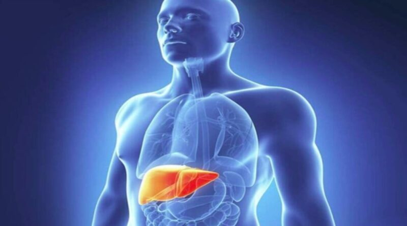 क्या आपको भी है फैटी लिवर की समस्या- तो सिर्फ खराब डाइट ही नहीं, ये आदतें भी हो सकती हैं जिम्मेदार